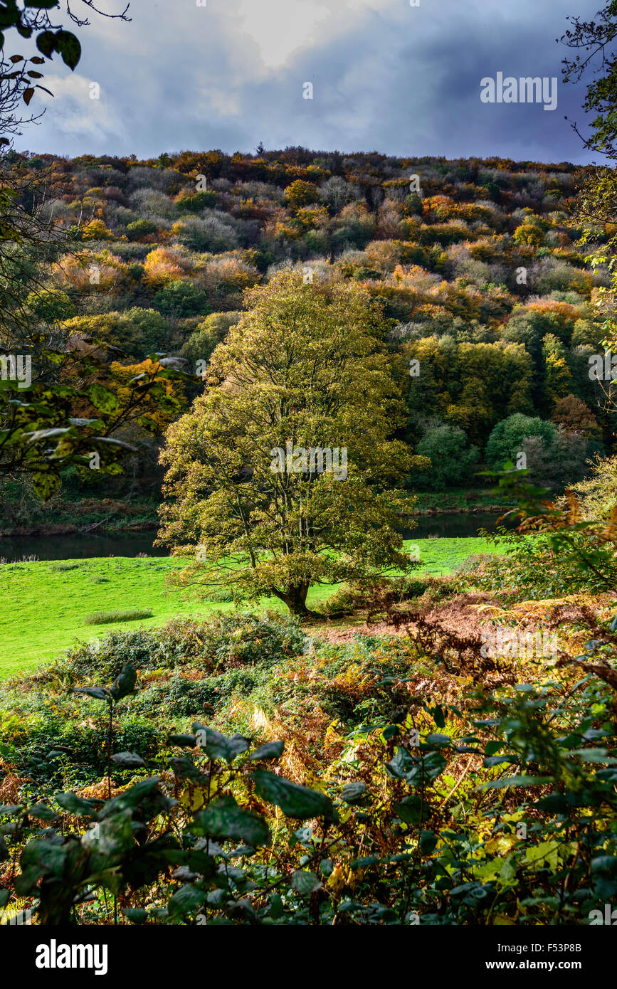 Wye Valley en automne avec colline boisée en couleurs de l'automne. À la recherche de l'Angleterre dans le pays de Galles. UK Banque D'Images