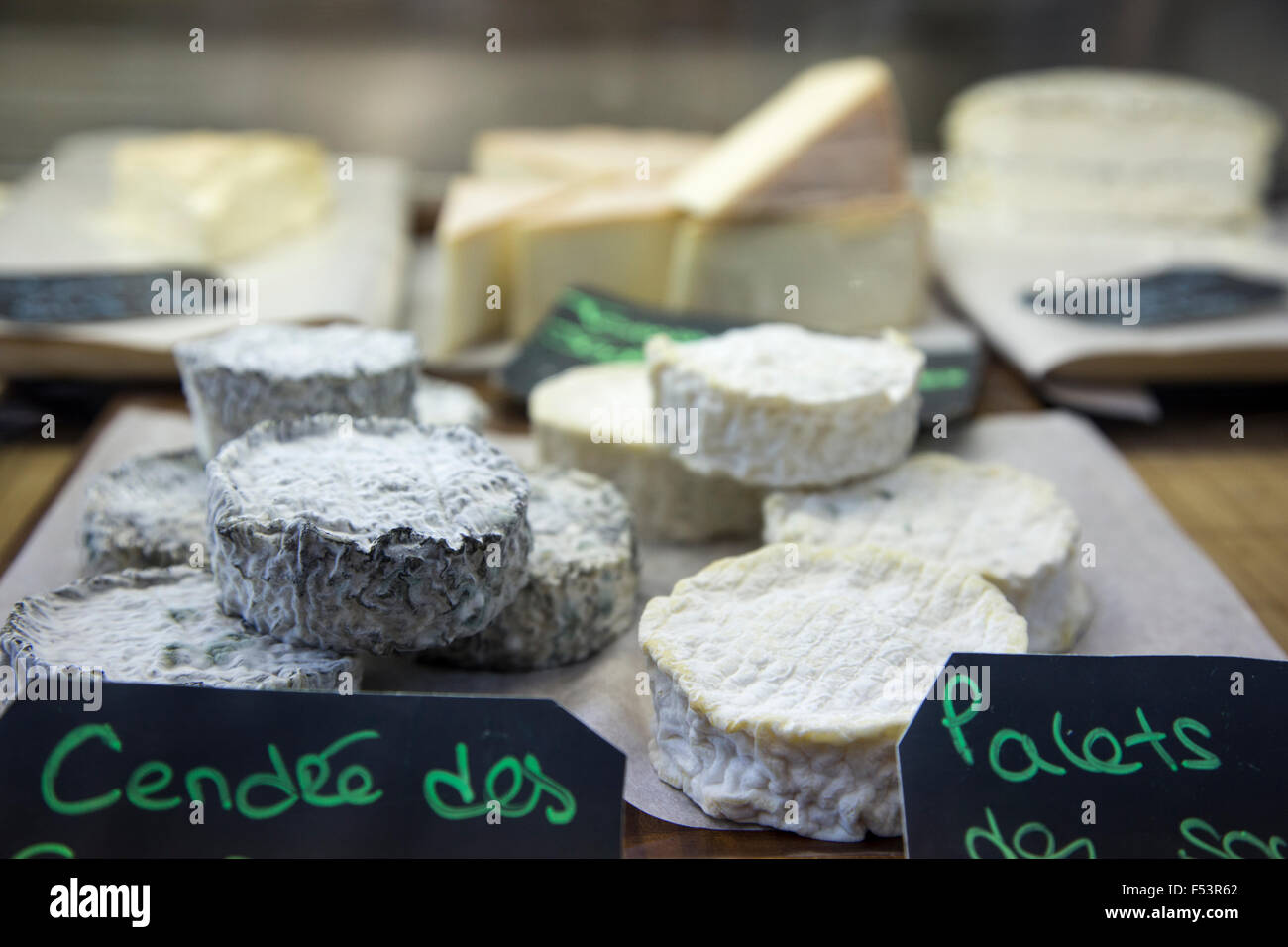 Sélection de fromages de chèvre du Québec, Marché Jean-Talon, Montréal, Québec, Canada Banque D'Images