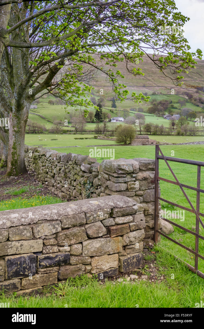 Dentdale, une vallée étroite, sur les pentes ouest des Pennines dans le Parc National des Yorkshire Dales. Banque D'Images