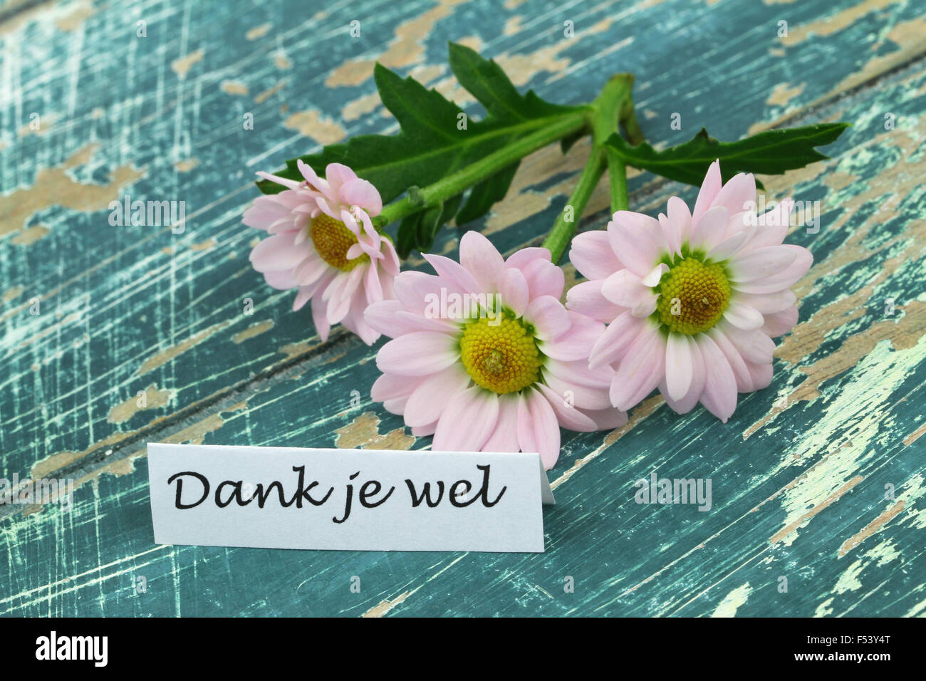 Dank je wel Banque de photographies et d’images à haute résolution - Alamy