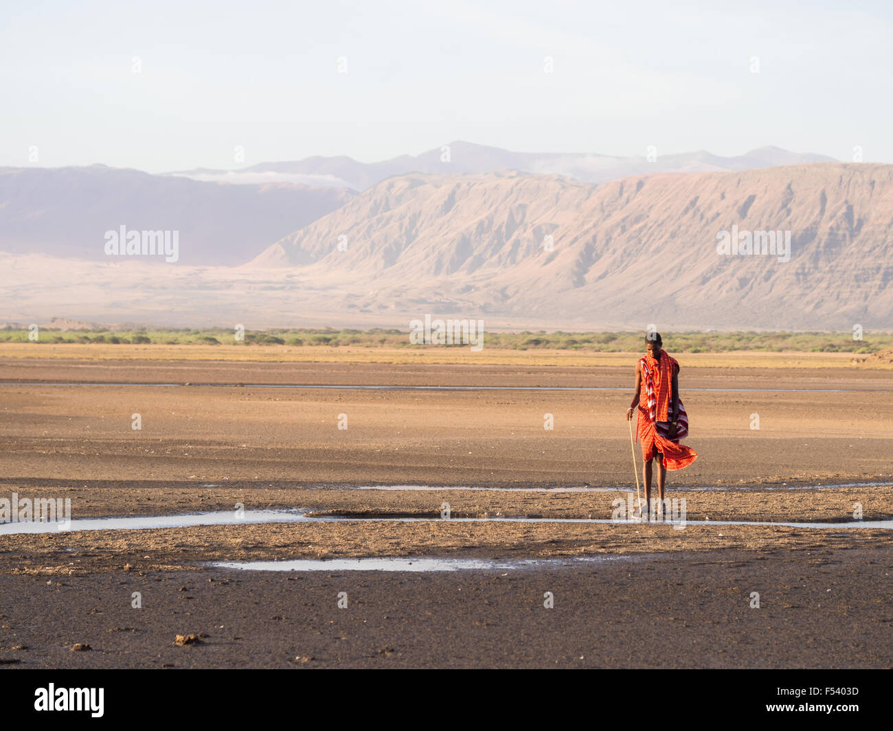 Guerrier massaï portant des vêtements rouges traditionnels dans la partie du lac Natron, dans le Nord de la Tanzanie, l'Afrique. Banque D'Images