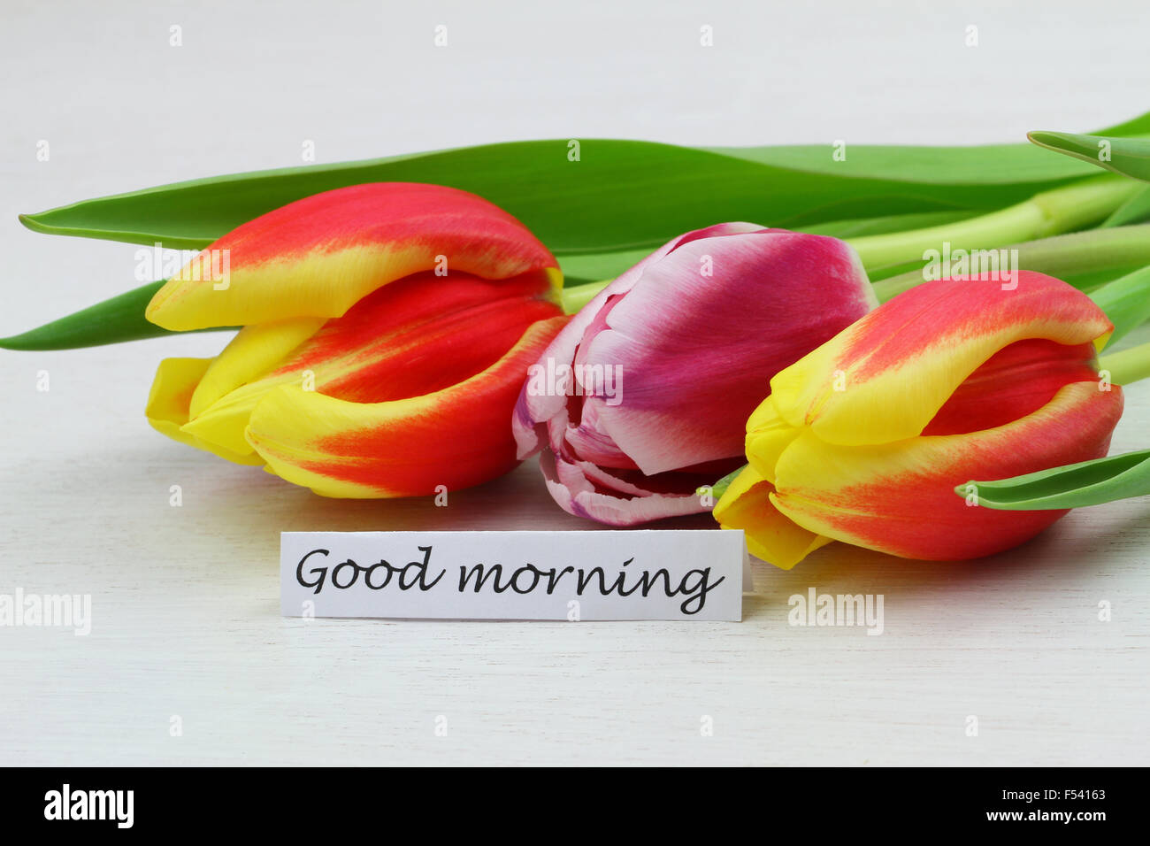 Bonjour carte avec tulipes colorées Banque D'Images