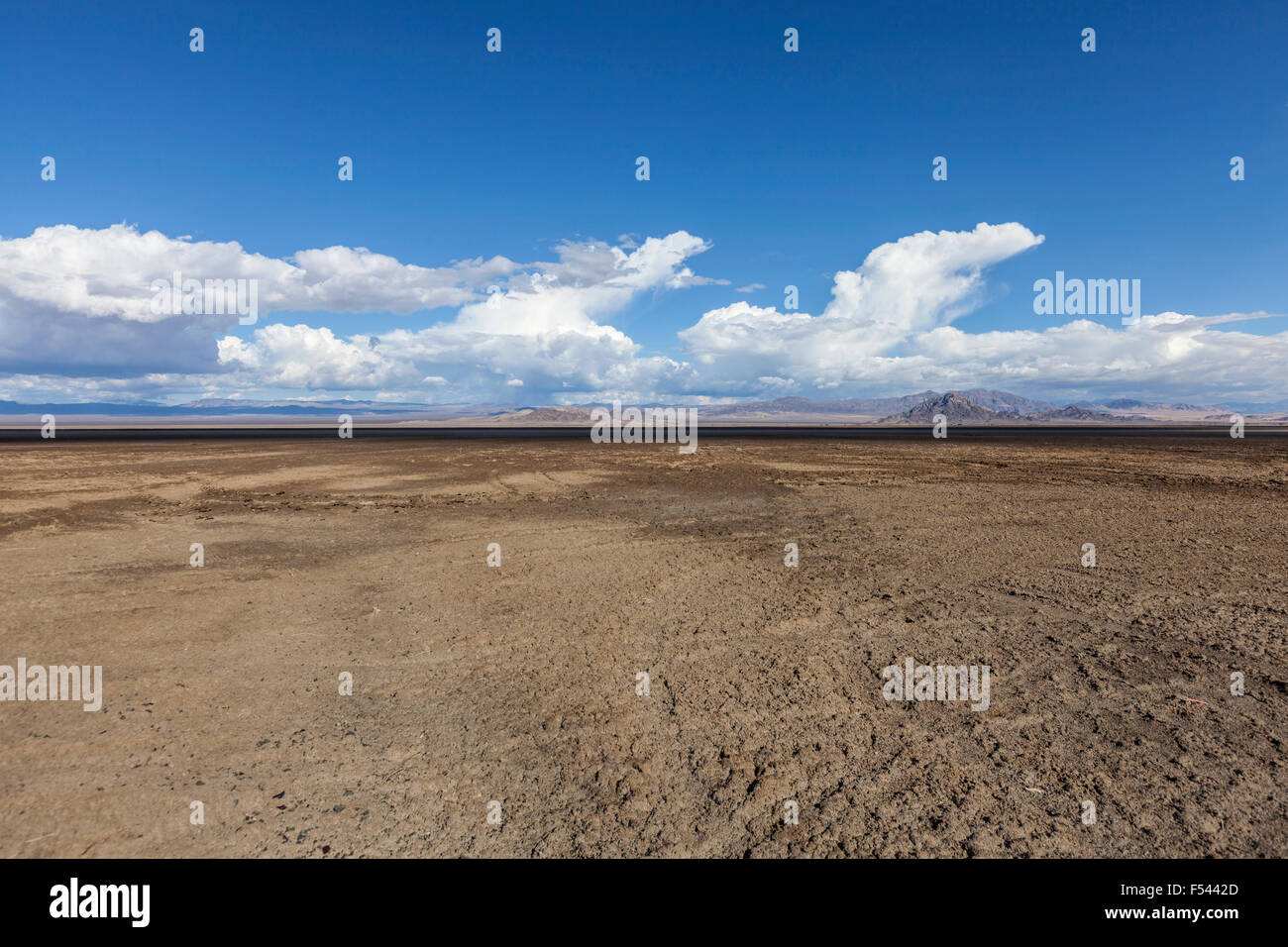 Soda Dry Lake Vaseux dans le désert de Mojave en Californie, près de Zzyzx. Banque D'Images