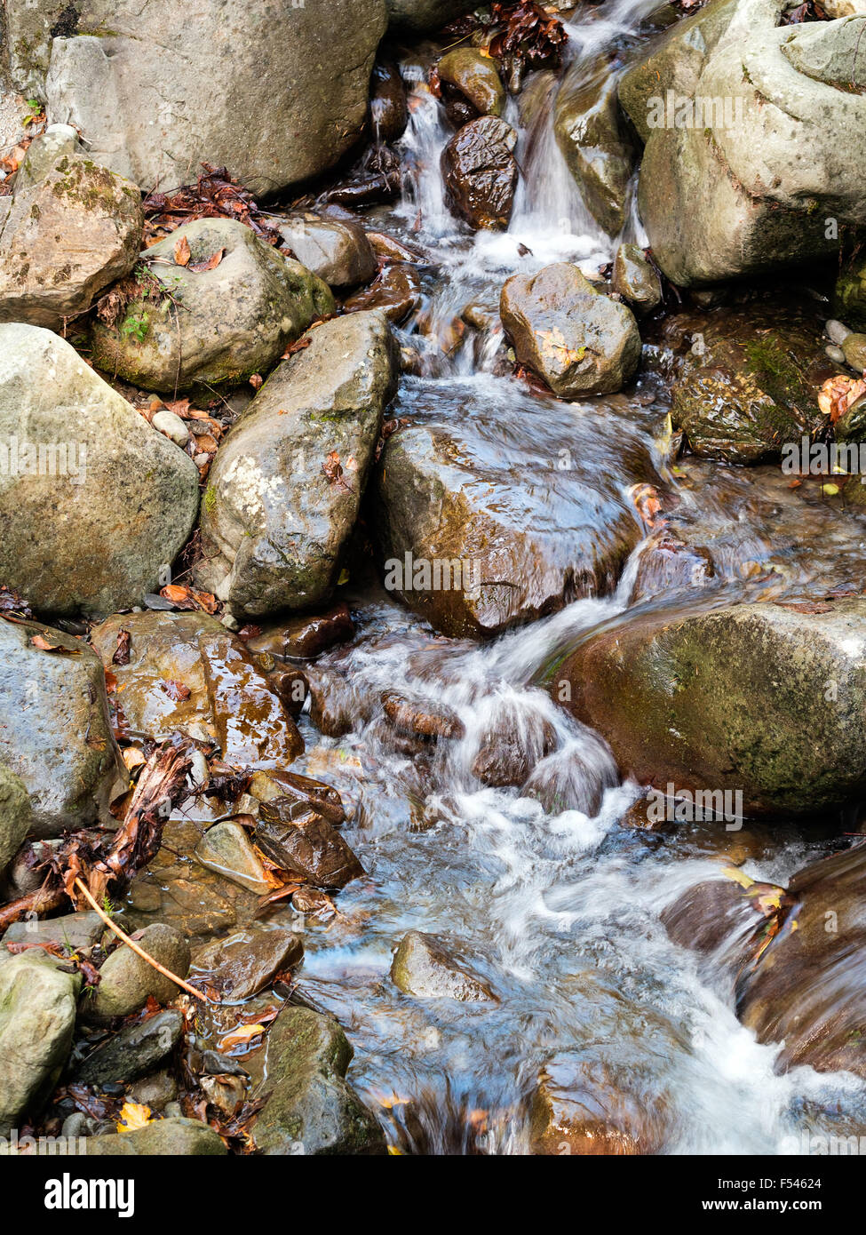 L'eau douce d'eau de montagne. Les feuilles d'automne. Banque D'Images