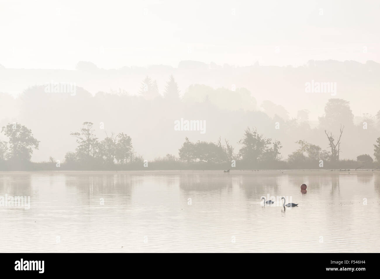 Lever de soleil sur Misty Château Semple Loch dans Renfrewshire, Scotland, UK Banque D'Images