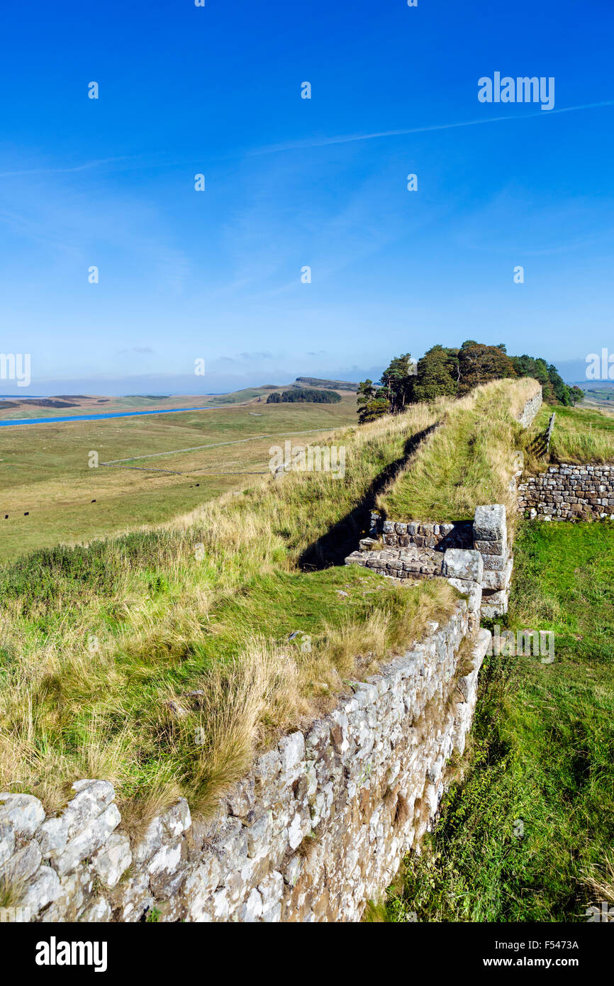 Mur d'Hadrien près de Fort romain de Housesteads, Northumberland, England, UK Banque D'Images