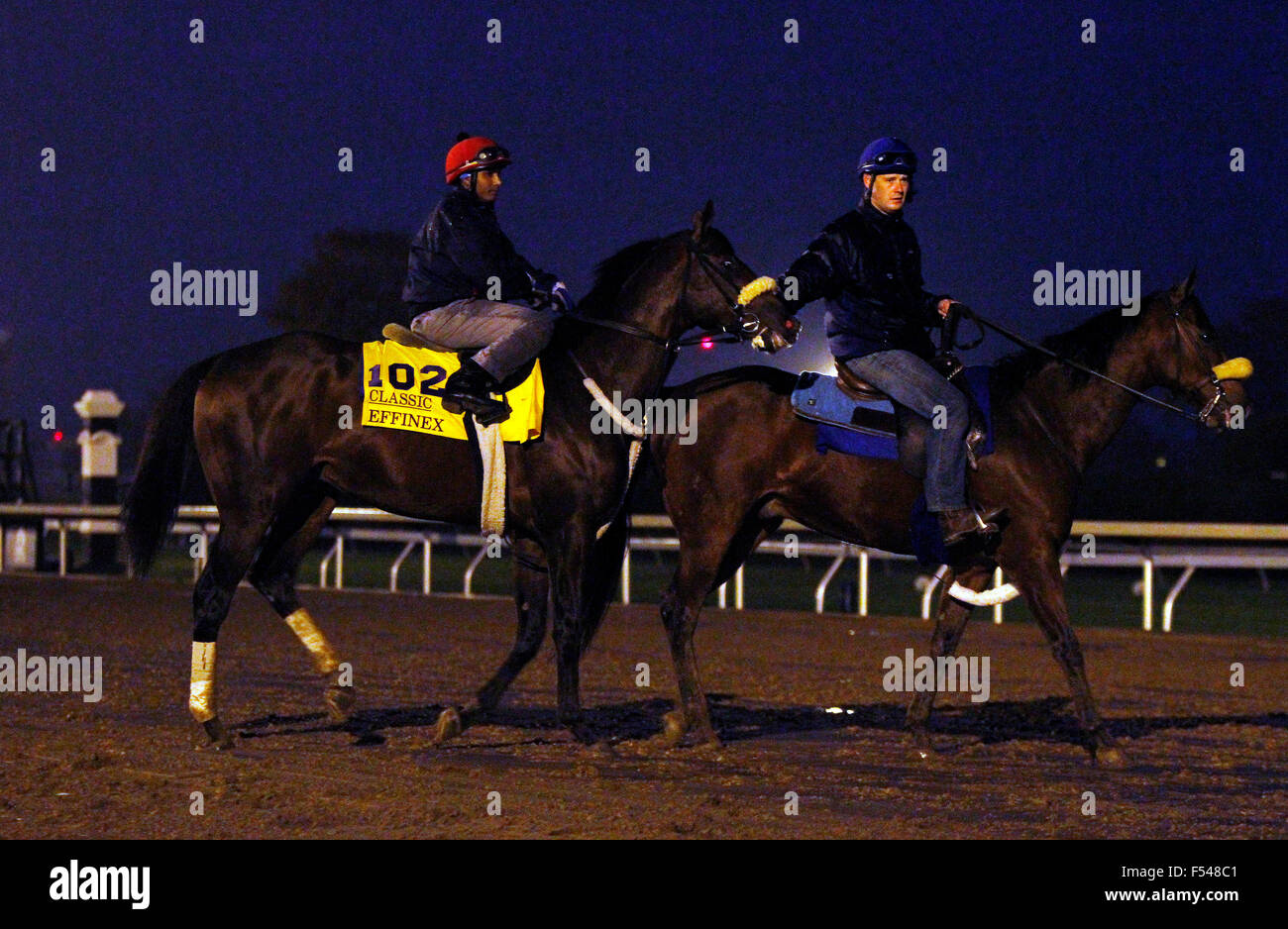 Lexington, Kentucky, USA. 27 Oct, 2015. 27 octobre 2015 : Effinex formés par James A. Jerkens et administré par Tri-Bone Stables, inscrits dans la Breeder's Cup Classic 1 e année 5 000 000 $. Candice Chavez/ESW/CSM/Alamy Live News Banque D'Images