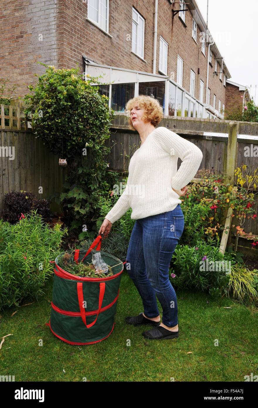 Mature Woman gardening soulever de lourdes sac de déchets de jardin dans la douleur avec un mauvais retour ache Banque D'Images