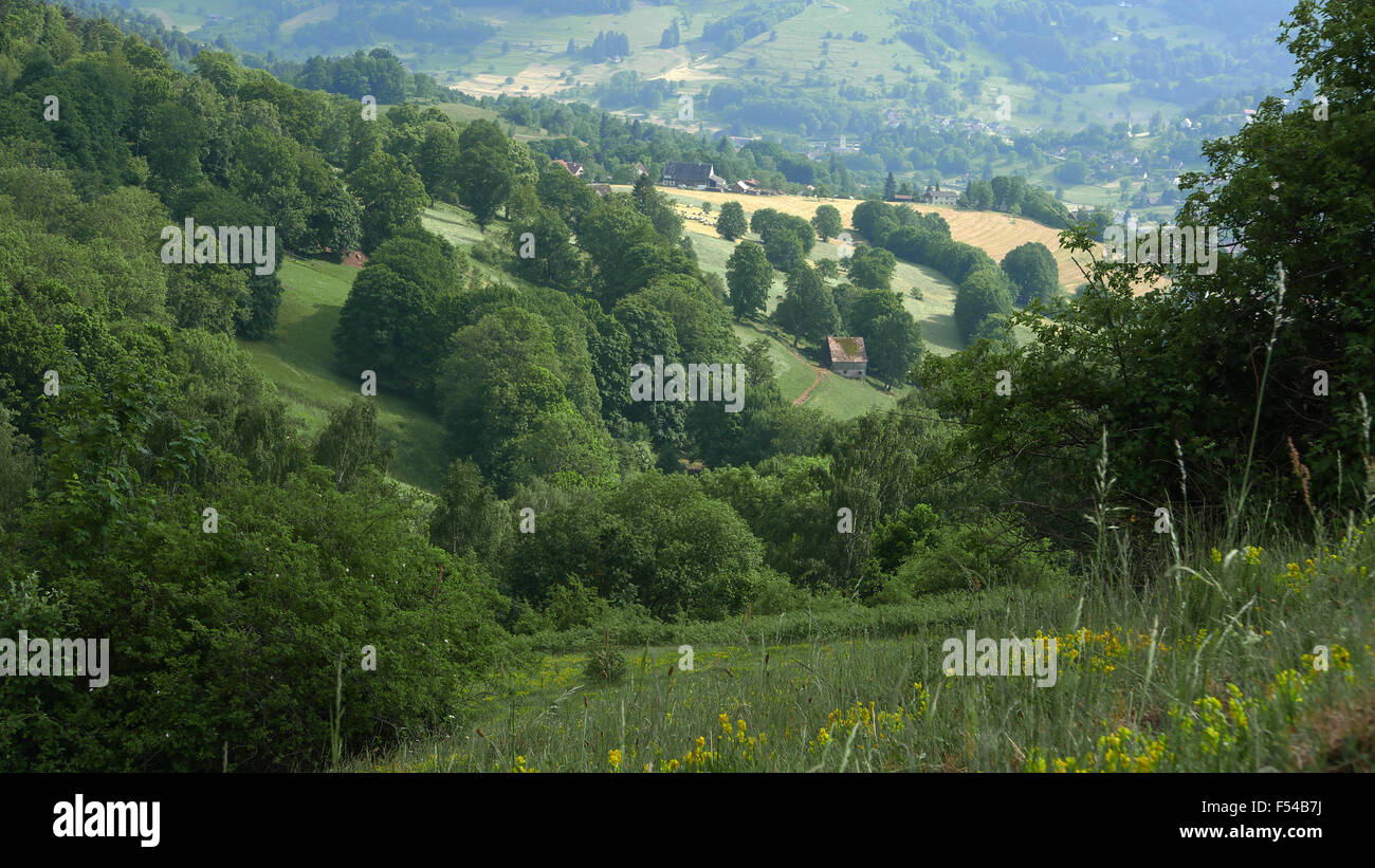 Vosges , France, Alsace, Lorraine Banque D'Images