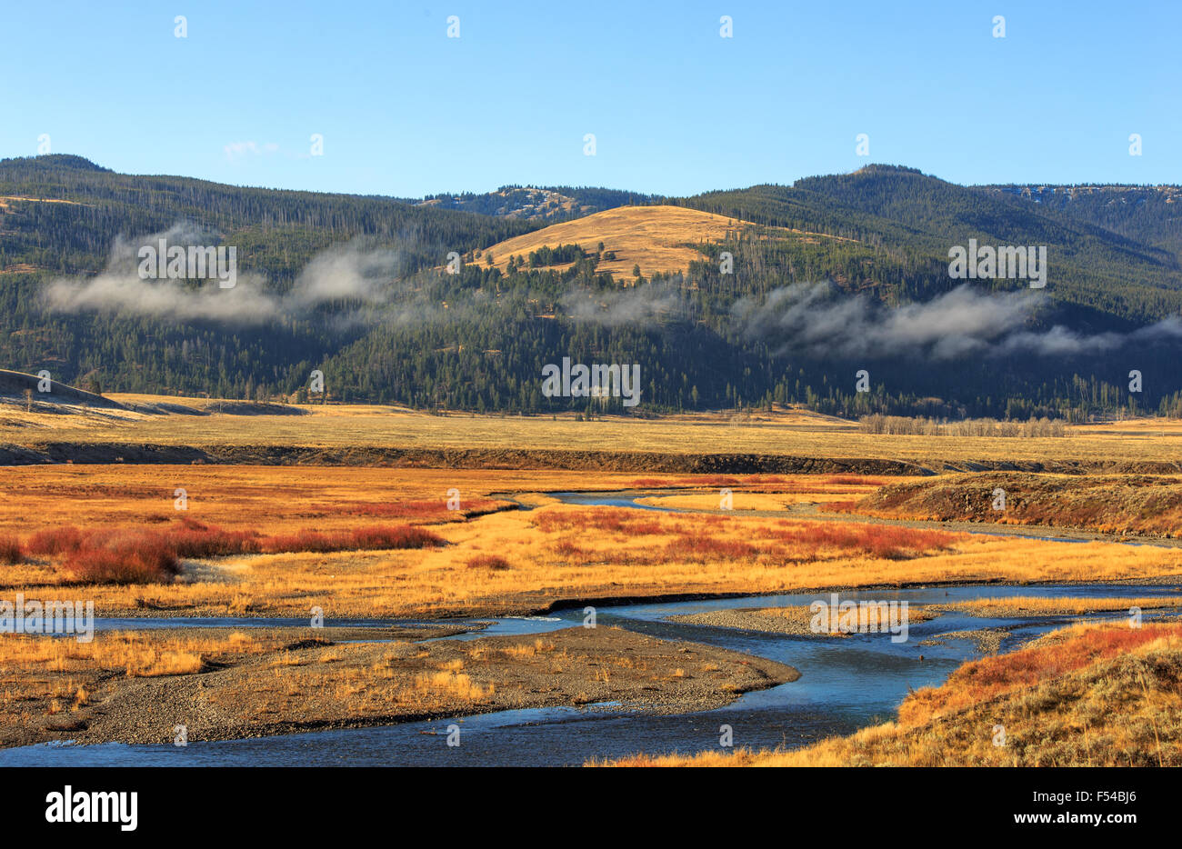 Mountain Valley Paysage avec rivière, le Parc National de Yellowstone. Banque D'Images