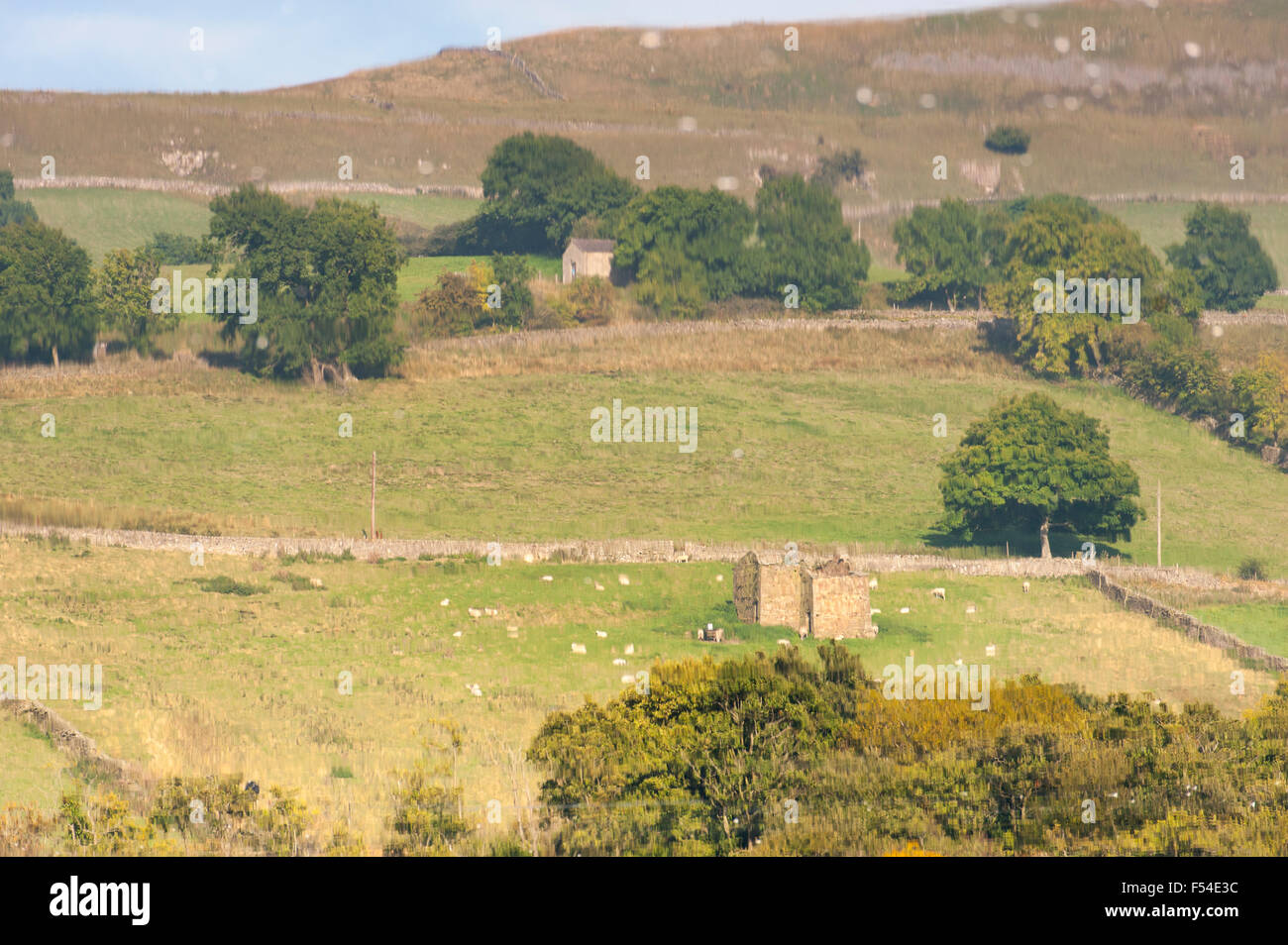 Dans Semerwater réflexions sur un matin d'automne, North Yorkshire, UK. Banque D'Images