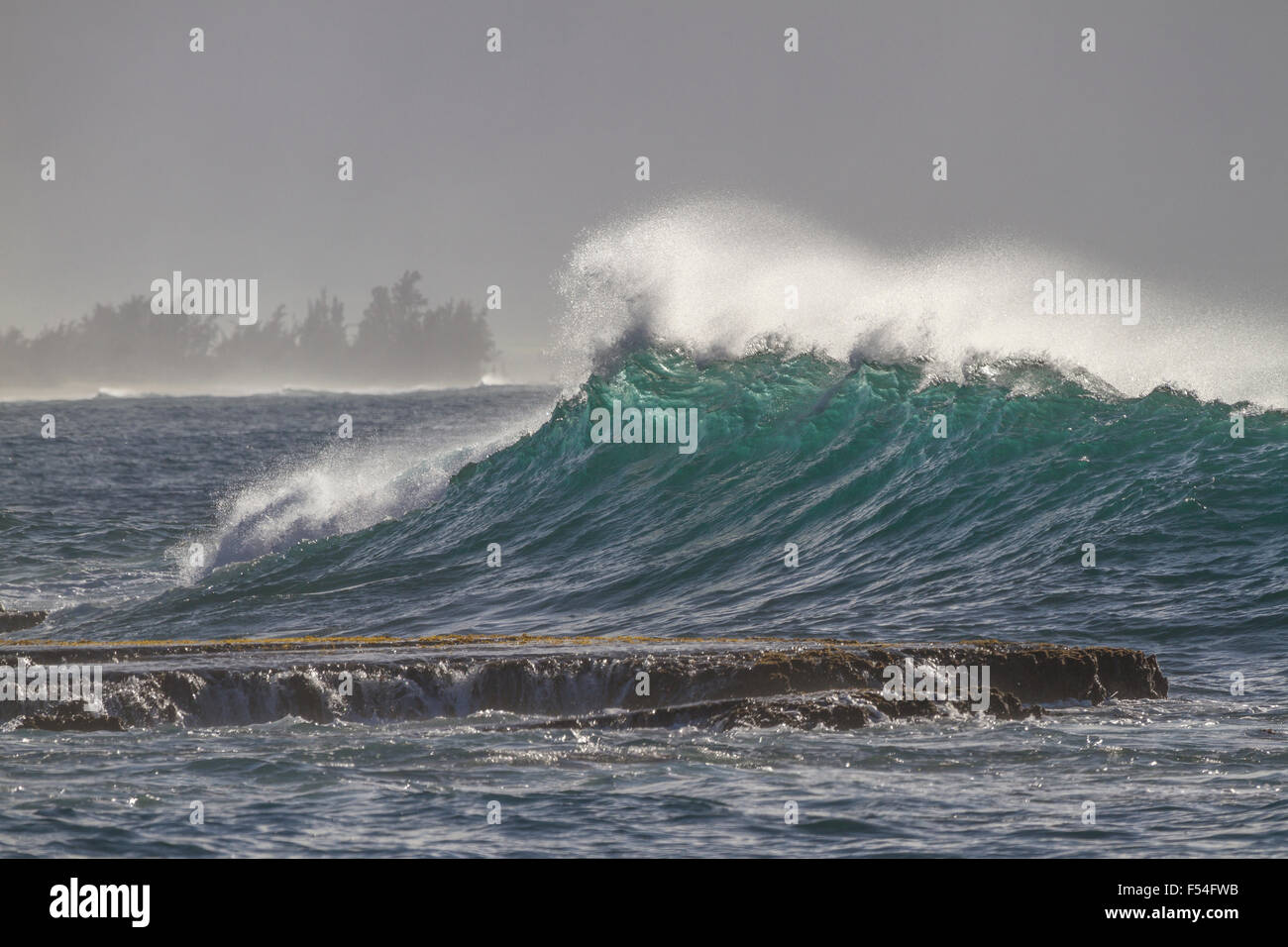 Spray Off d'une vague sur la rive nord du Maine Banque D'Images