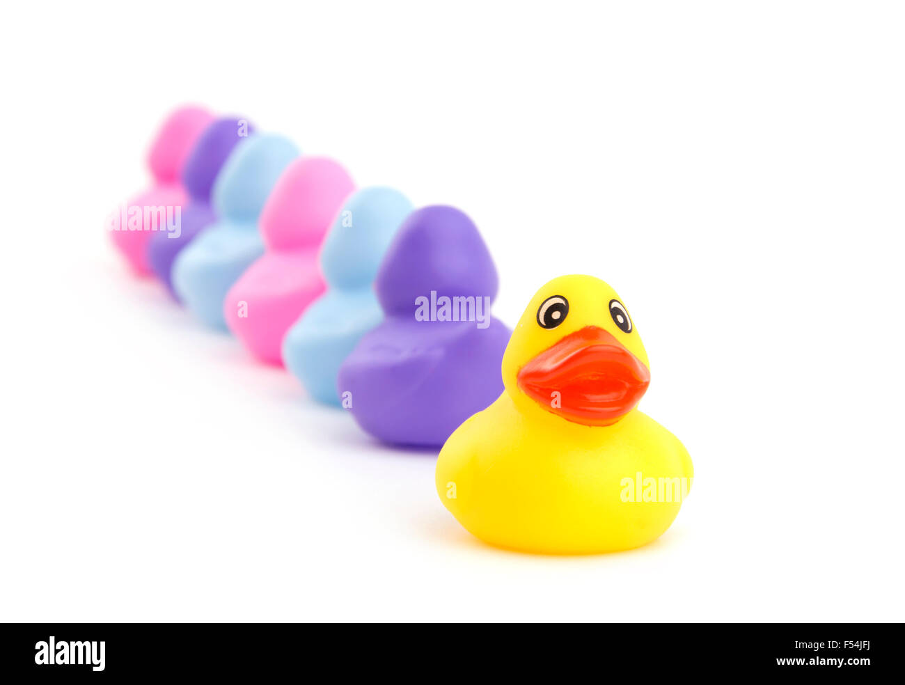 Canard en caoutchouc face viewer, tandis que d'autres la position de sens opposé - Notion d'individualité Banque D'Images