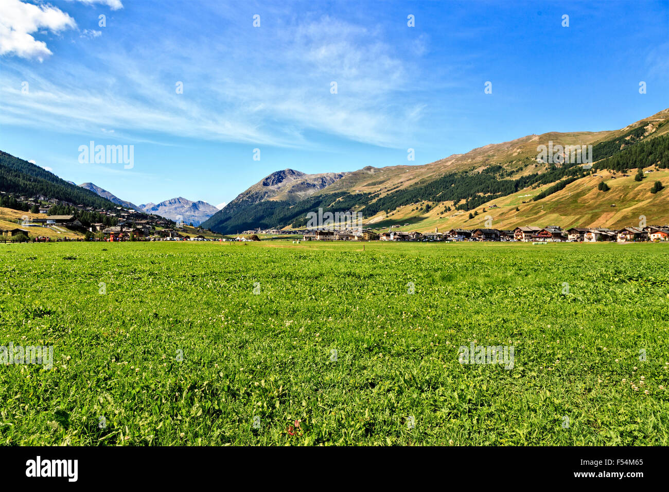 Paysage panoramique vue sur vaste terrain vert et petit village de la vallée de Livigno entourée par les Alpes italiennes aux beaux jours avec Blue Banque D'Images