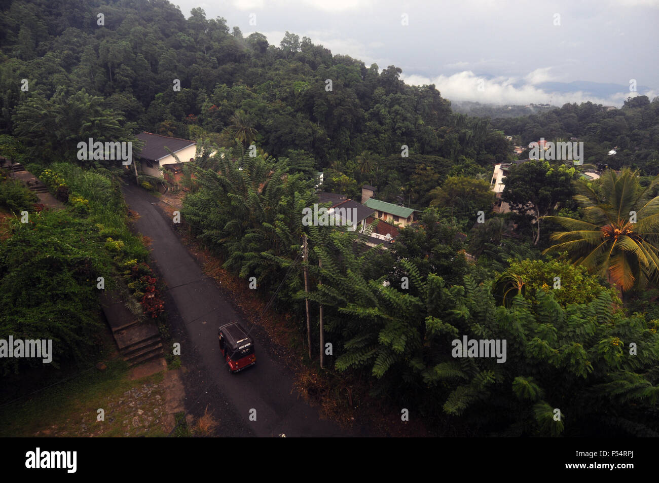 Après-midi pluvieux dans les contreforts de Kandy, Sri Lanka Banque D'Images