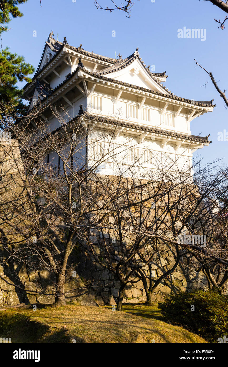Le Japon, Fukuyama castle. La structure d'origine, la yagura Fushimi, tourelle, et des murs en pierre d'Ishigaki en plein soleil en hiver. Banque D'Images