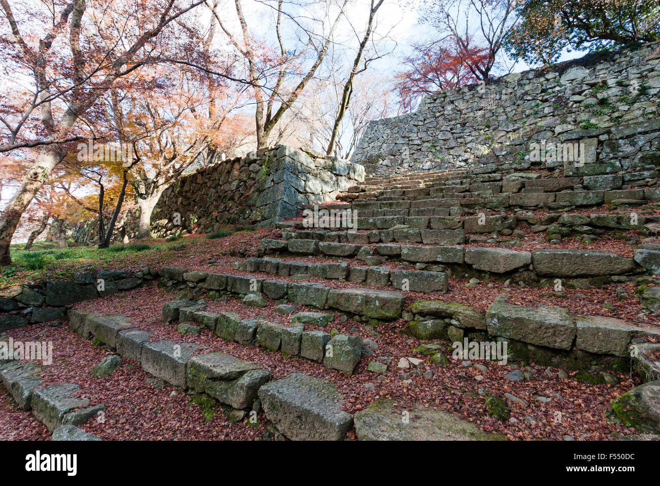 Le Japon, le Château de Tsuyama Kakuzan,-jo. Pierre mur Ishigaki et large escalier en pierre sur l'une des portes dans le château en ruine. Banque D'Images
