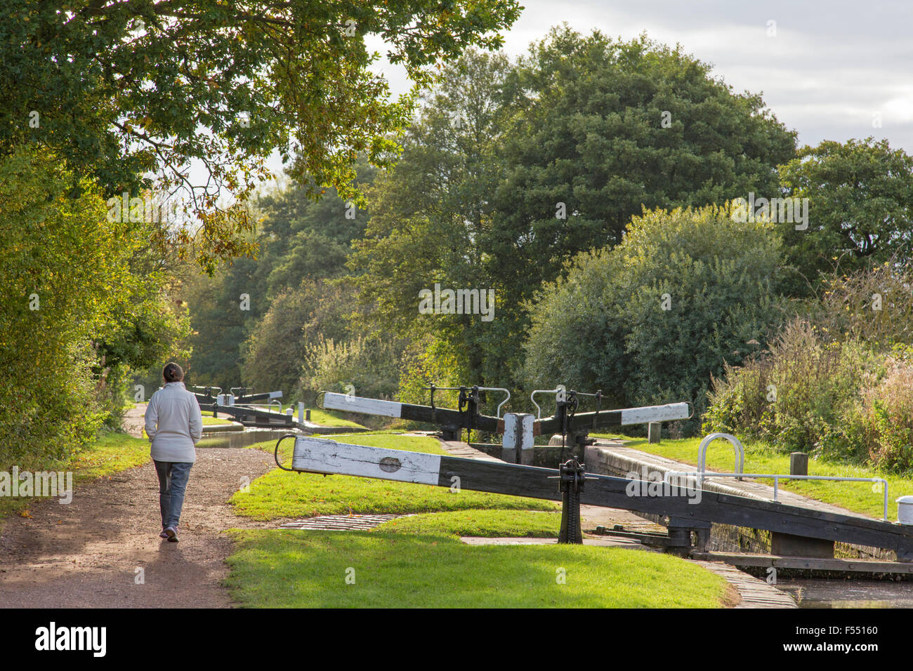 Dame marcher sur le Canal de Worcester et Birmingham en automne près de Guingamp, Worcestershire, Angleterre, RU Banque D'Images
