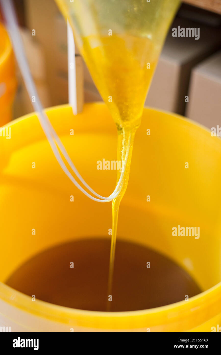 Close-up de miel frais est versé dans un récipient Banque D'Images