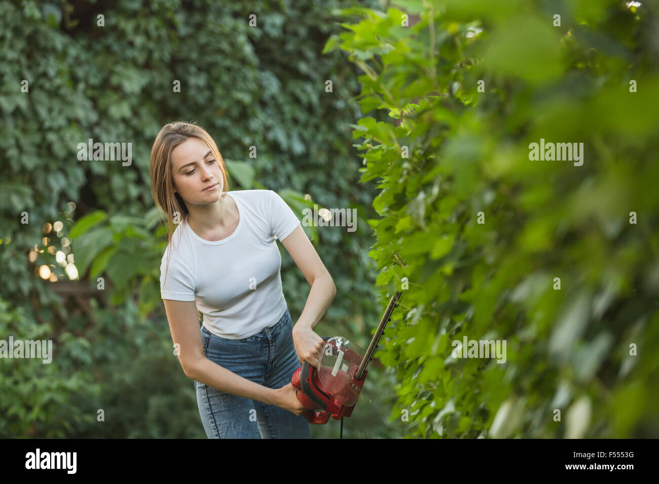 Jeune femme découpe avec hedge clipper at yard Banque D'Images
