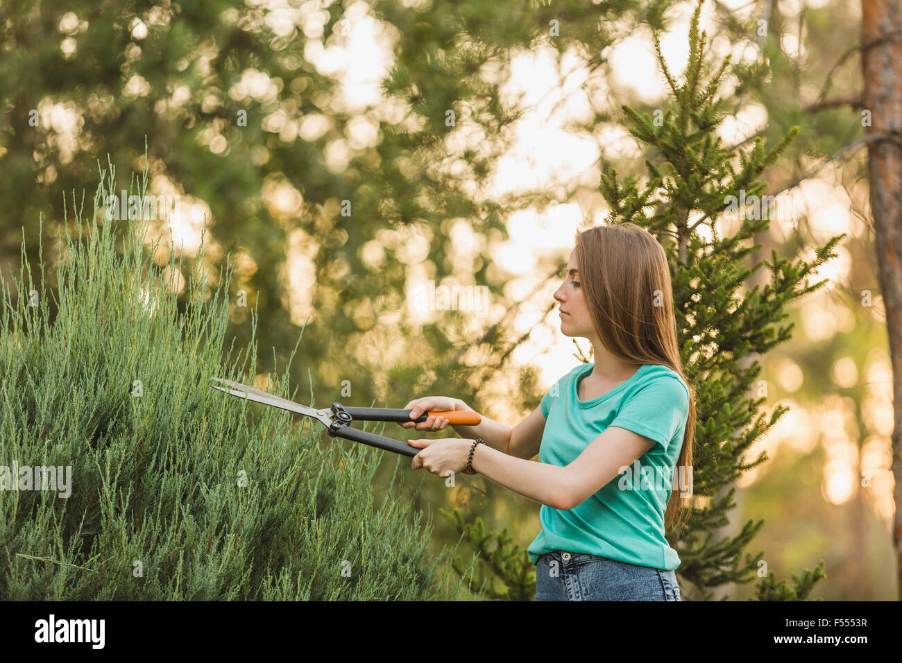 Jeune femme de découpe avec un sécateur at yard Banque D'Images