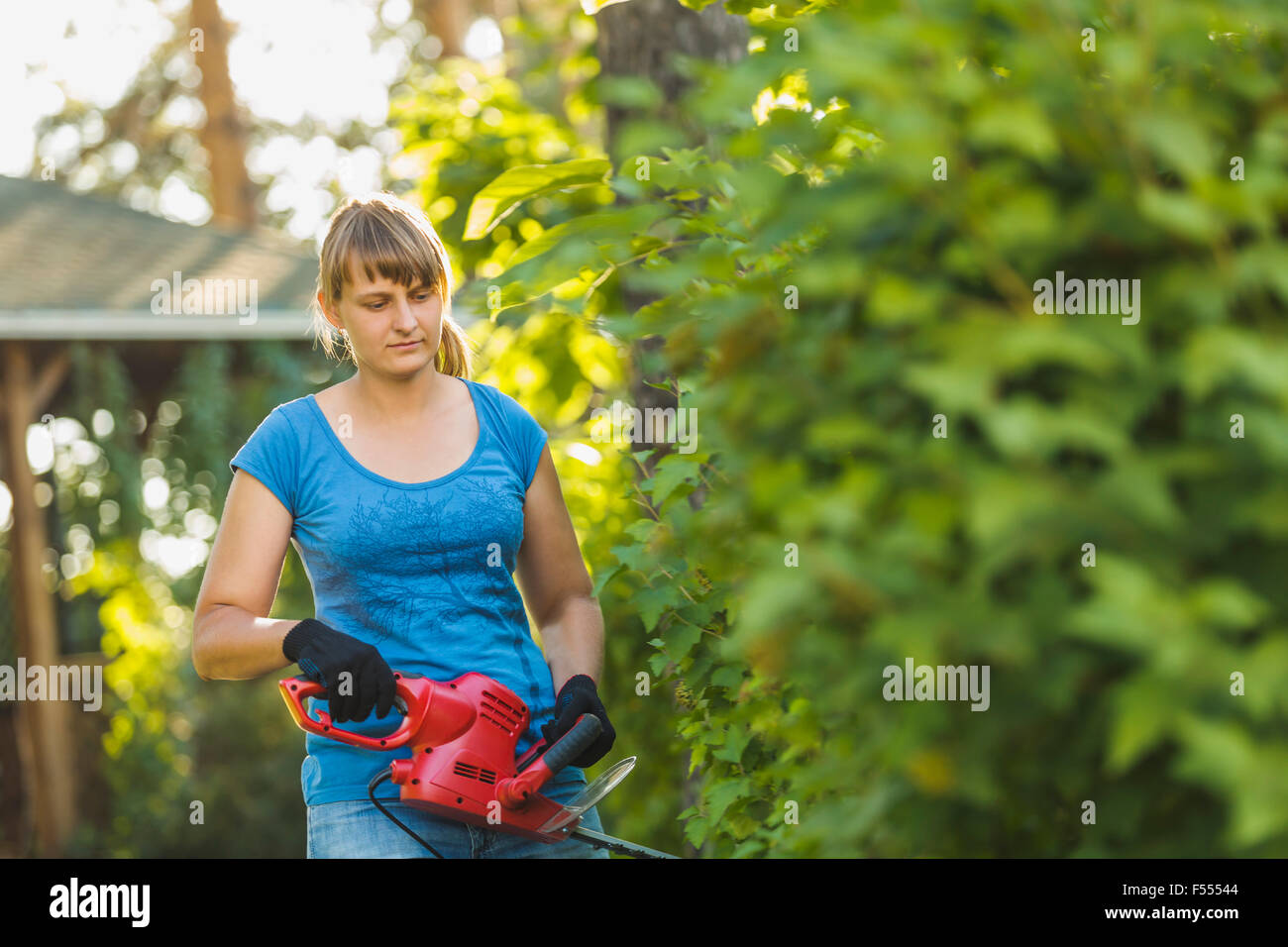 Femme de découpe avec hedge clipper at yard Banque D'Images