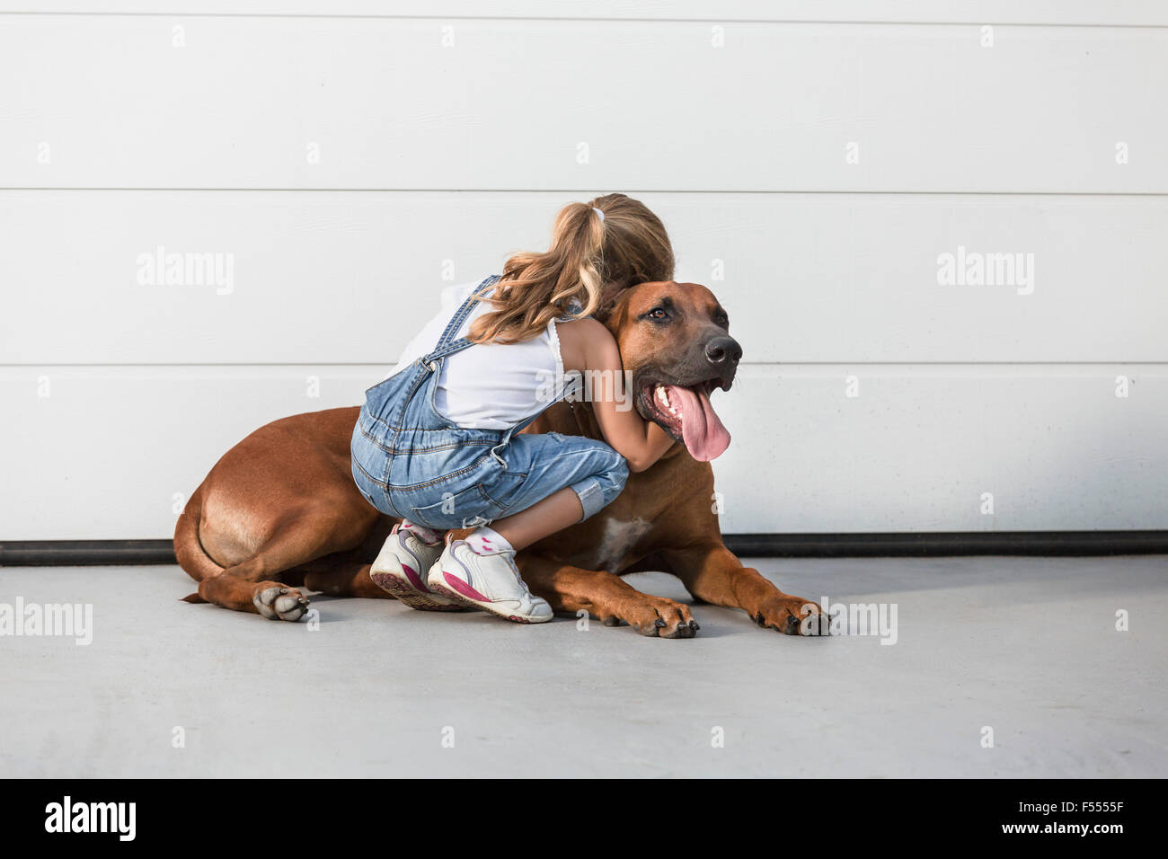 Girl embracing dog outdoors Banque D'Images