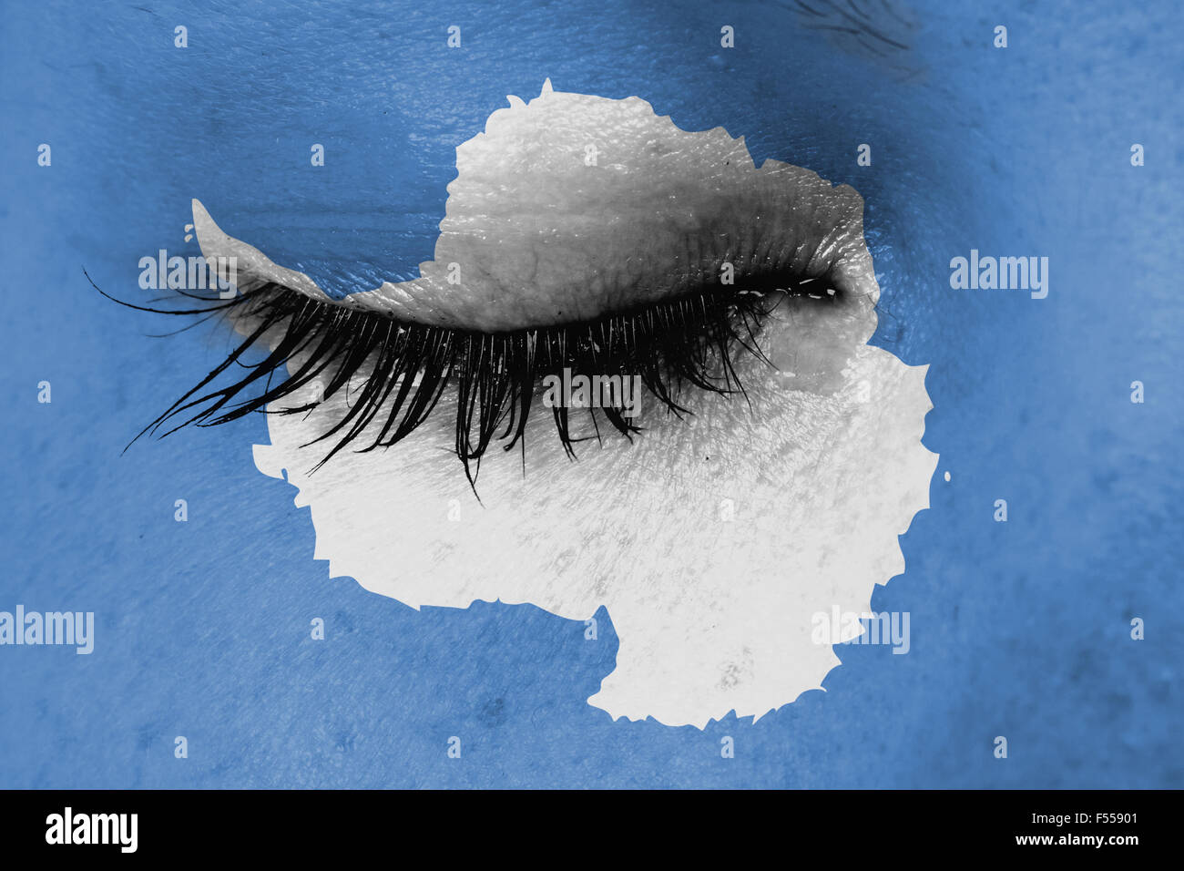 Flag of antarctica Banque de photographies et d'images à haute résolution -  Alamy
