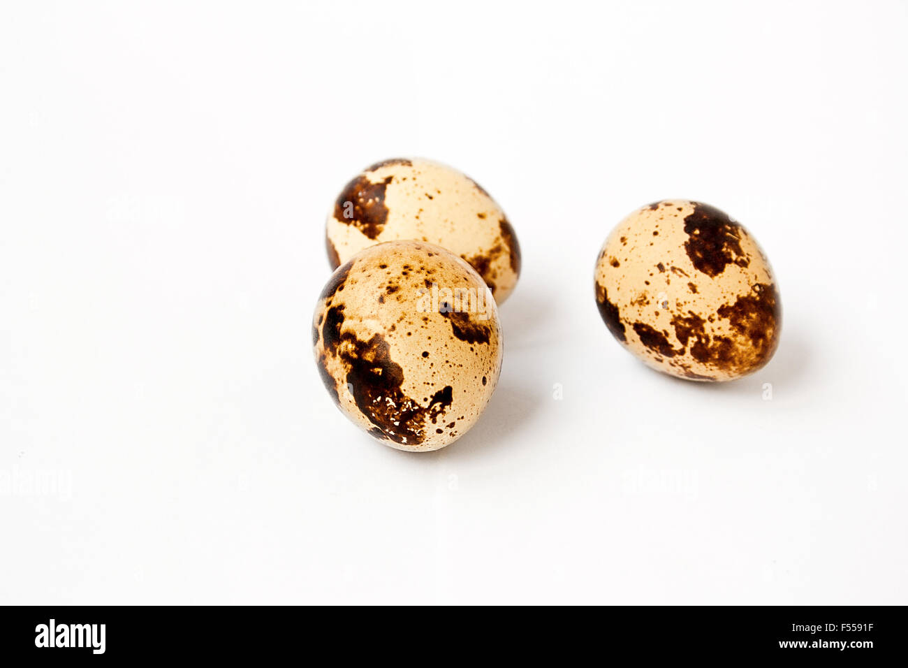 Trois oeufs de cailles isolé sur fond blanc. Banque D'Images