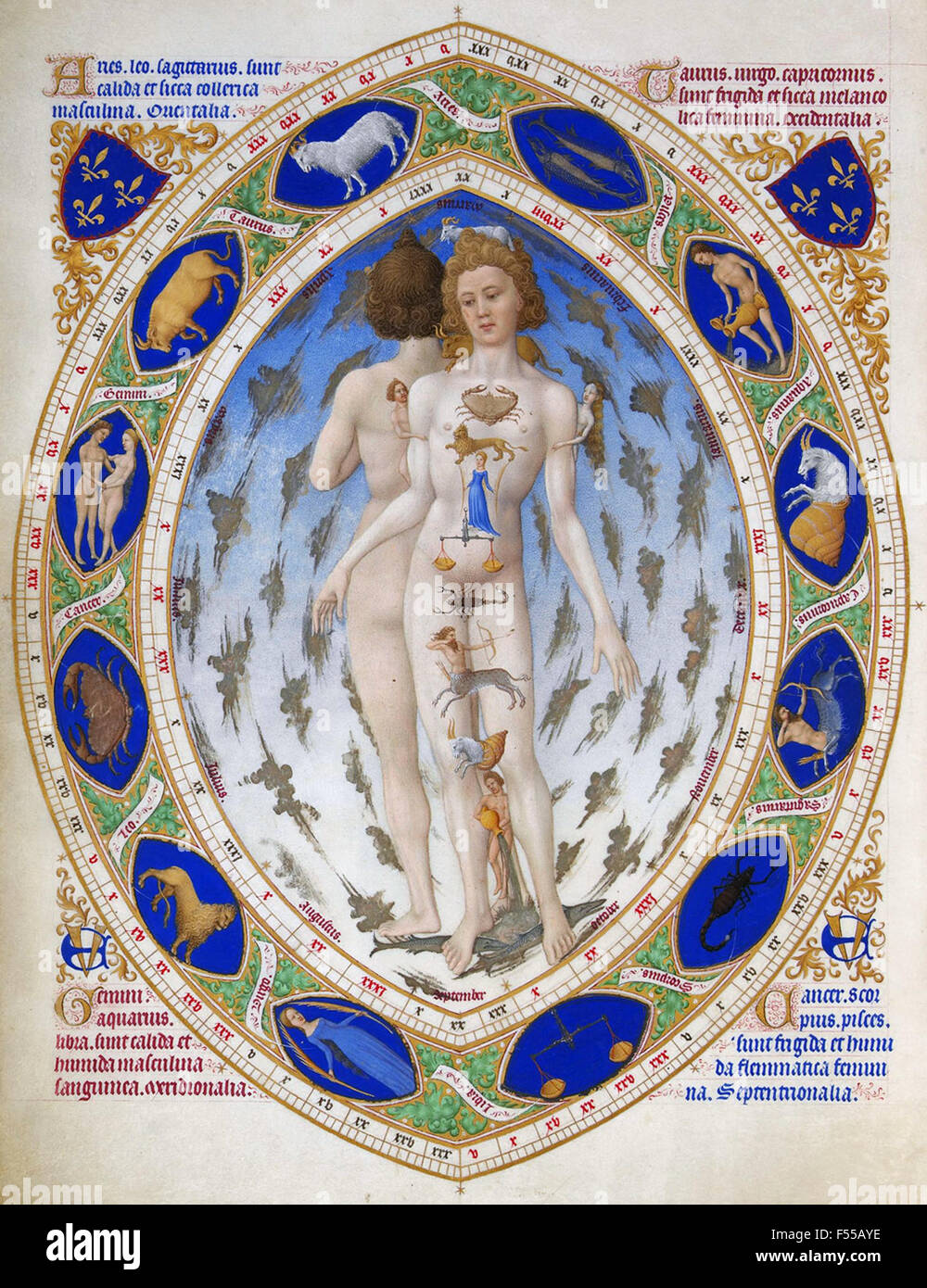 Zodiaque anatomique homme du début du xve siècle Tres Riches Heures du Duc de Berry Banque D'Images