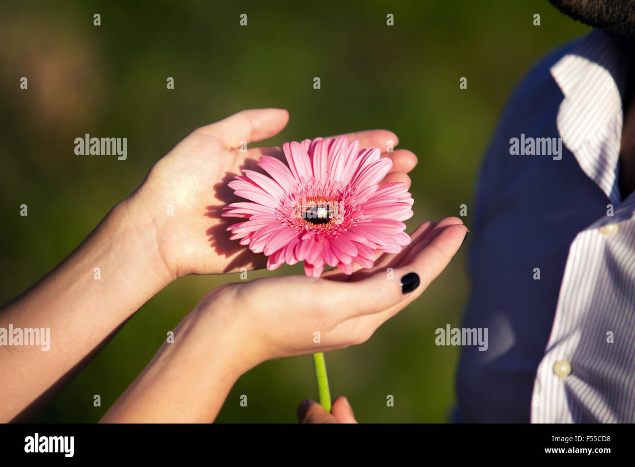 Bague de fiançailles sur une fleur dans les mains de la mariée Banque D'Images Bague de fiançailles sur une fleur dans les mains de la mariée Banque D'Images