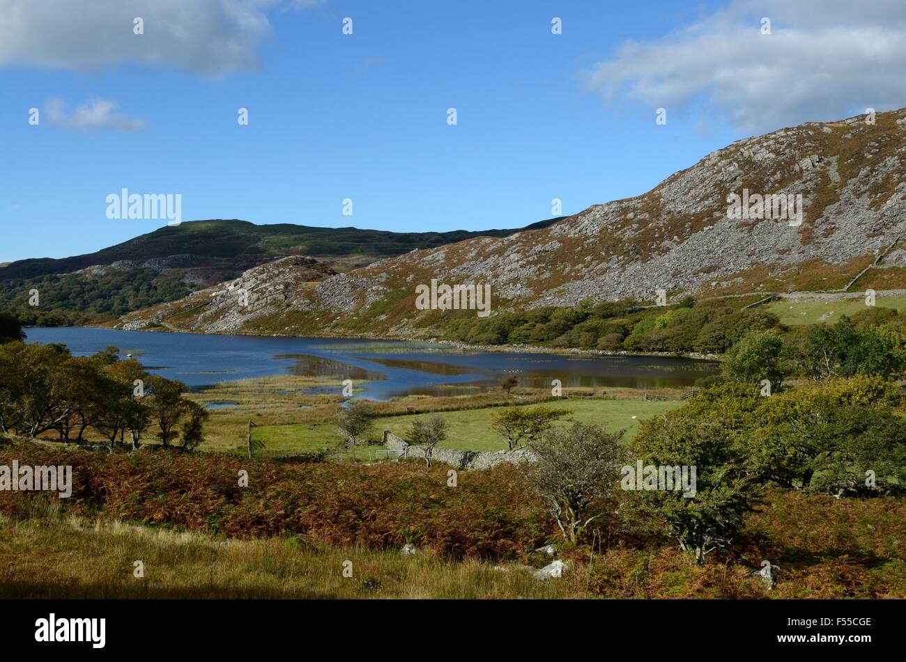 Llyn Cwm Bychan dans Rhinogydd les montagnes du Parc National de Snowdonia au Pays de Galles Cymru UK GO Banque D'Images