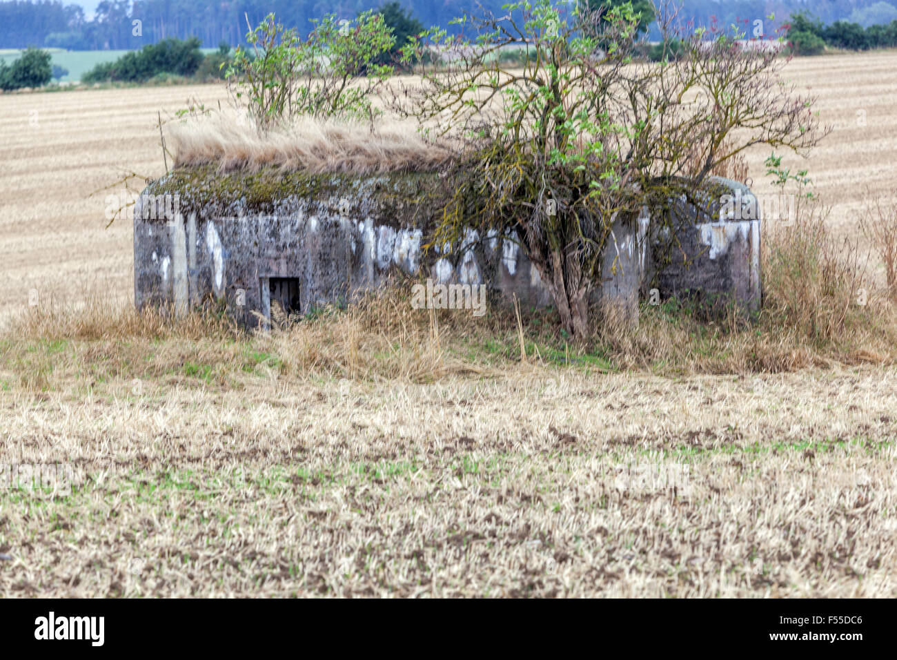 Fortifications défensives tchécoslovaques d'avant-guerre construites à la frontière. Environs Slavonice, Bohême du Sud, République Tchèque Banque D'Images