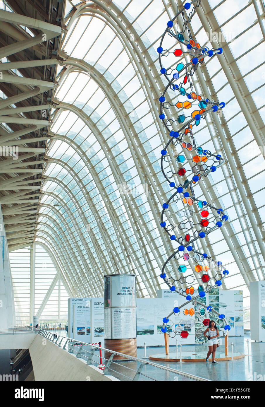 Intérieur de la Musée des sciences Príncipe Felipe, Cité des Arts et des Sciences, Valence, Espagne. Banque D'Images