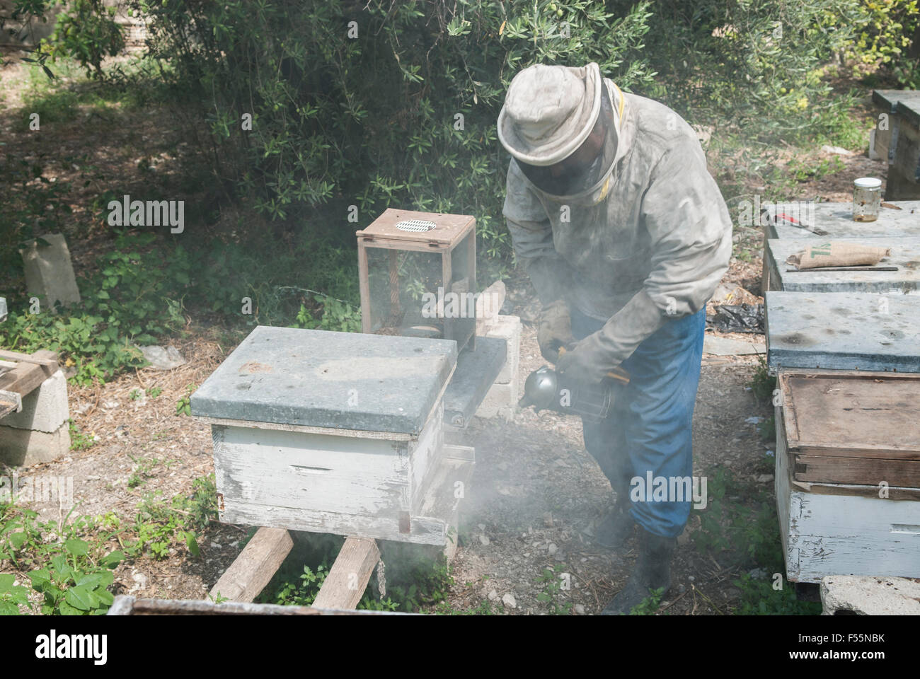 Homme travaillant dans une ferme d'abeilles Ein El Delb Liban Banque D'Images