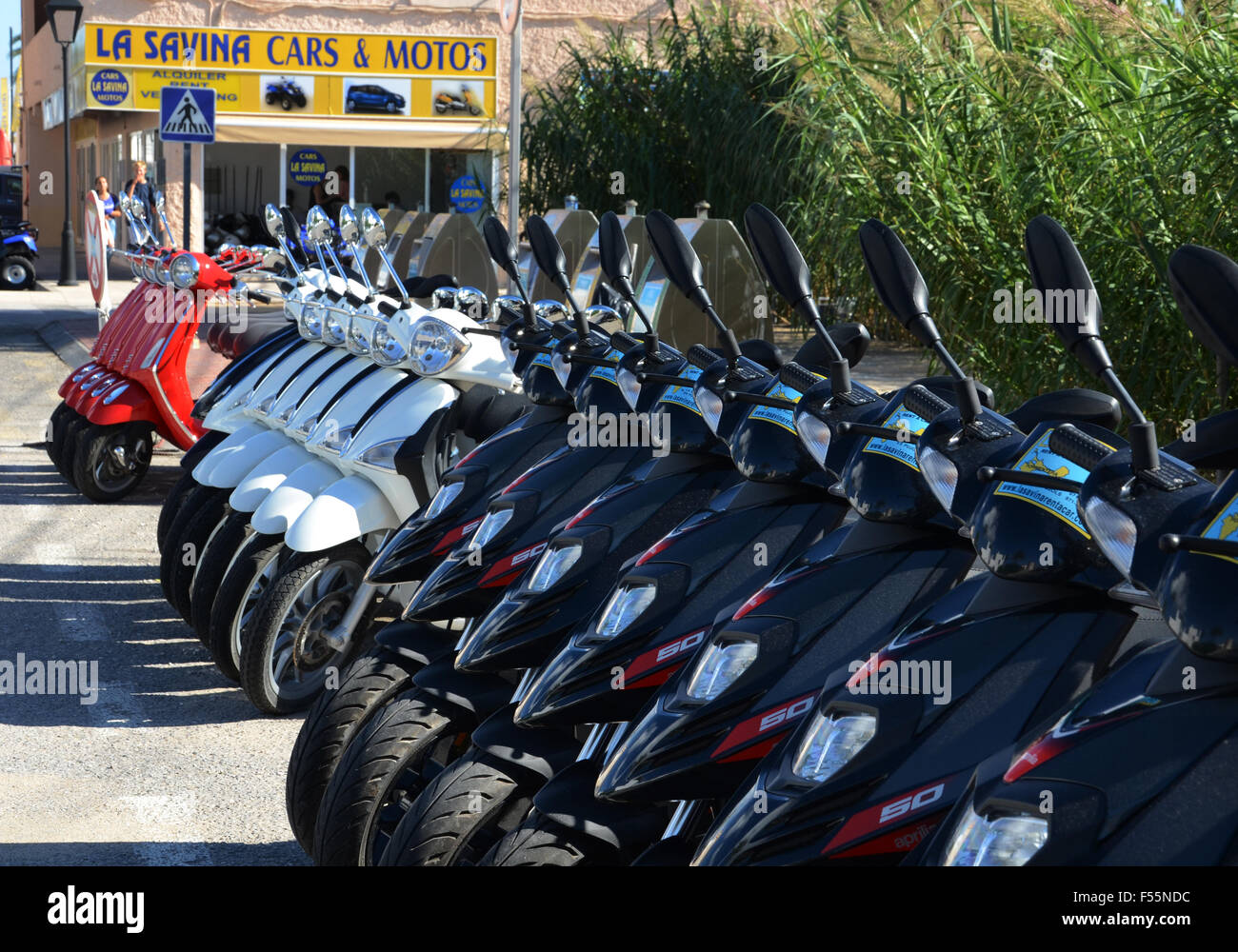 Gamme de scooters de location Formentera Ibiza, Espagne Banque D'Images