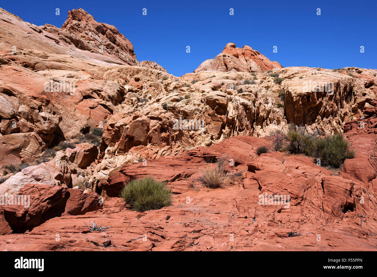 Des formations de grès de couleur arc-en-ciel à Vista, Valley of Fire State Park, Nevada, USA Banque D'Images