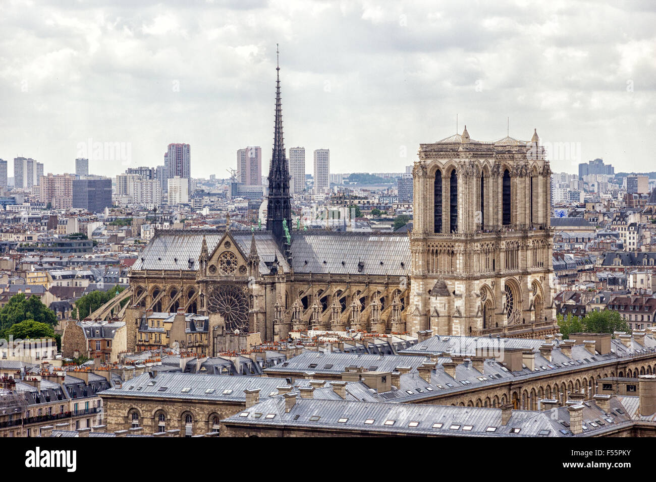 Vue aérienne de Paris avec la cathédrale Notre-Dame Banque D'Images