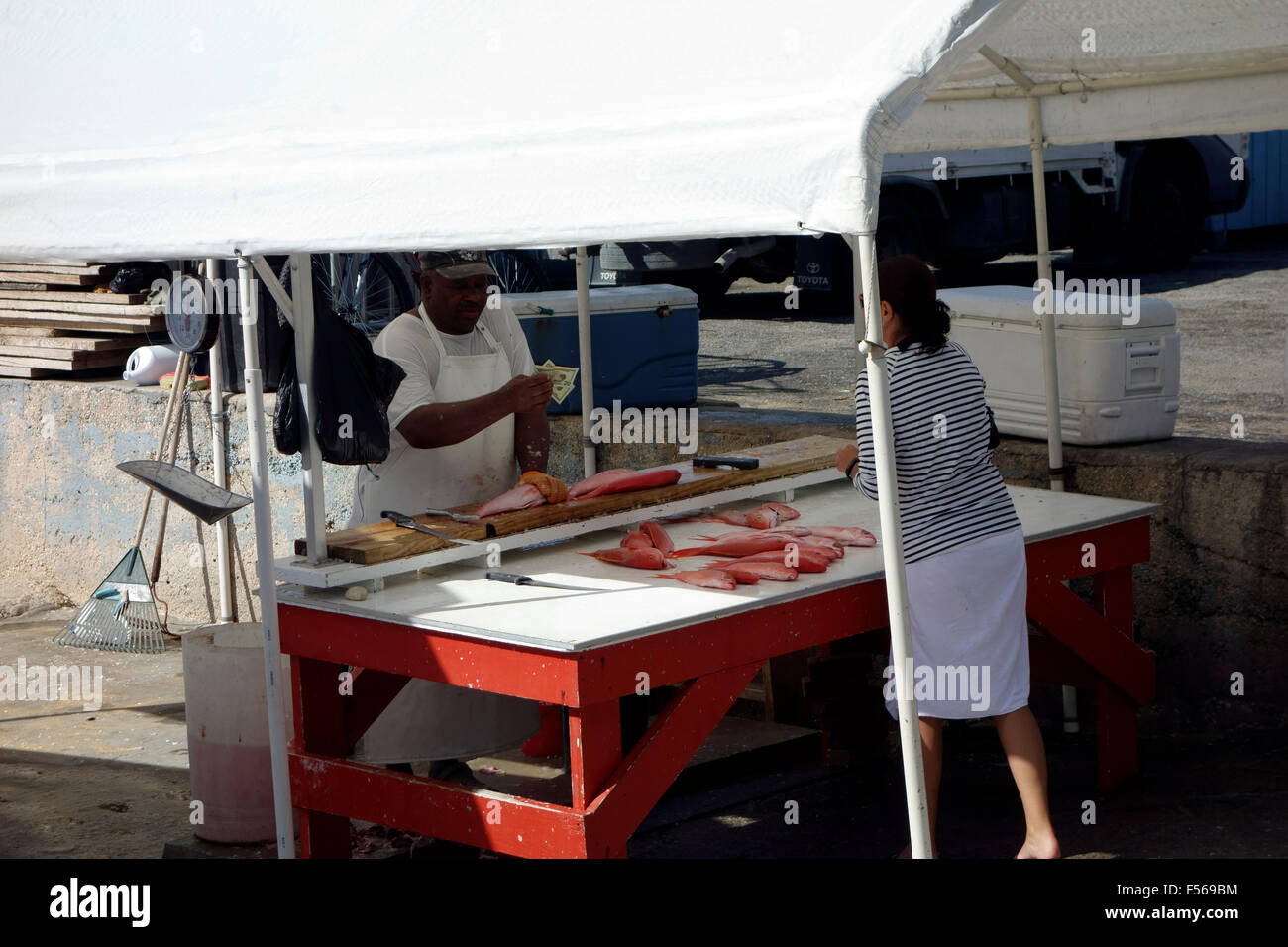 Marché de poisson de George Town, Grand Cayman, Cayman Islands, Caribbean Banque D'Images