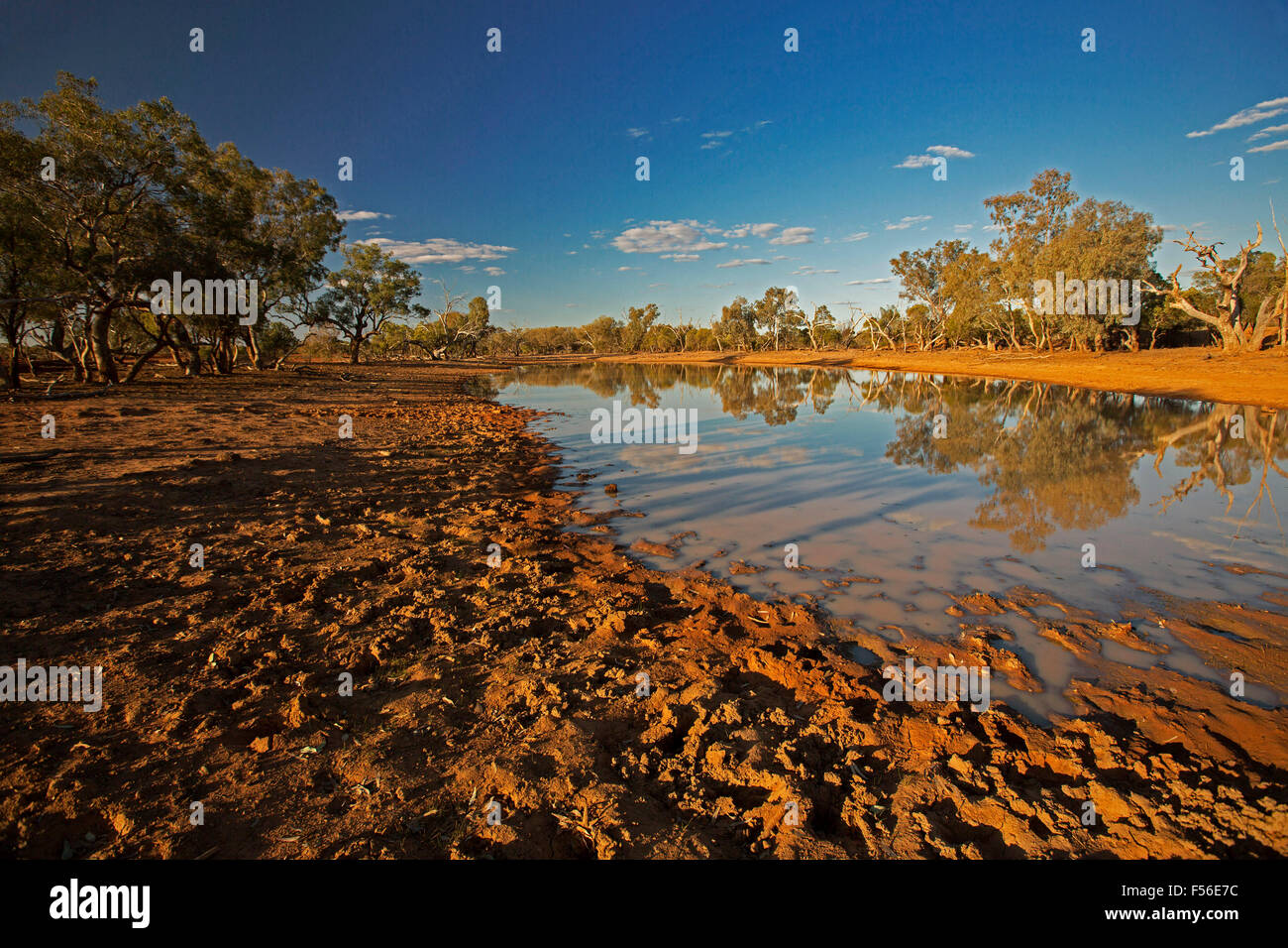 Outback australien durant la sécheresse du paysage avec des arbres et ciel bleu reflété dans la surface de miroir d'eau à oasis au crépuscule Banque D'Images