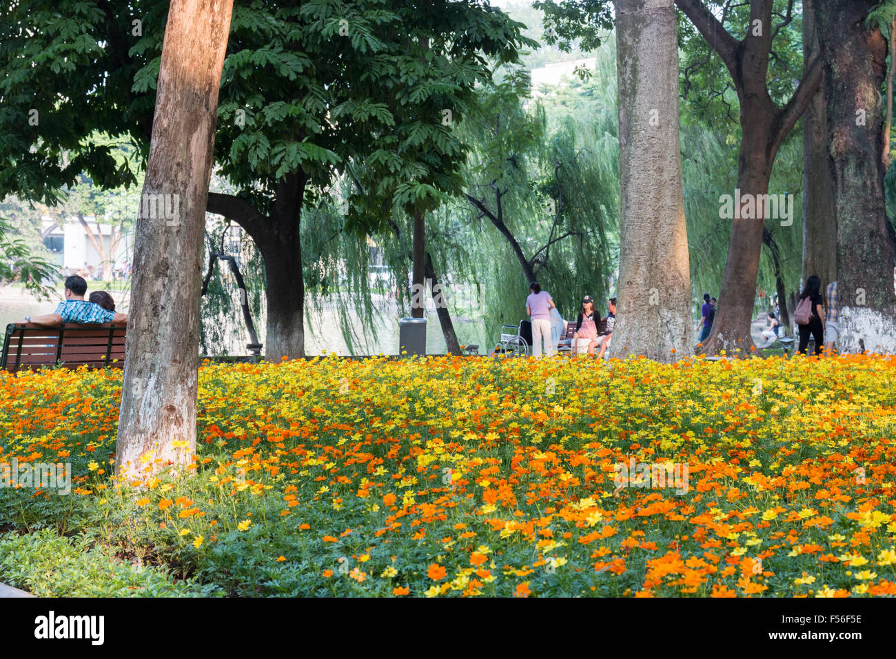 Hanoi, Vietnam, les sections locales se détendre autour du lac Hoan Kiem, Hanoi, Vietnam centre-ville Banque D'Images