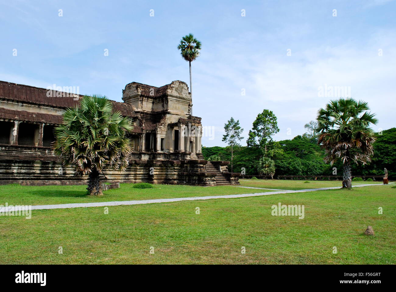 Palmiers à l'extérieur du complexe du temple d'Angkor Wat au Cambodge. Banque D'Images