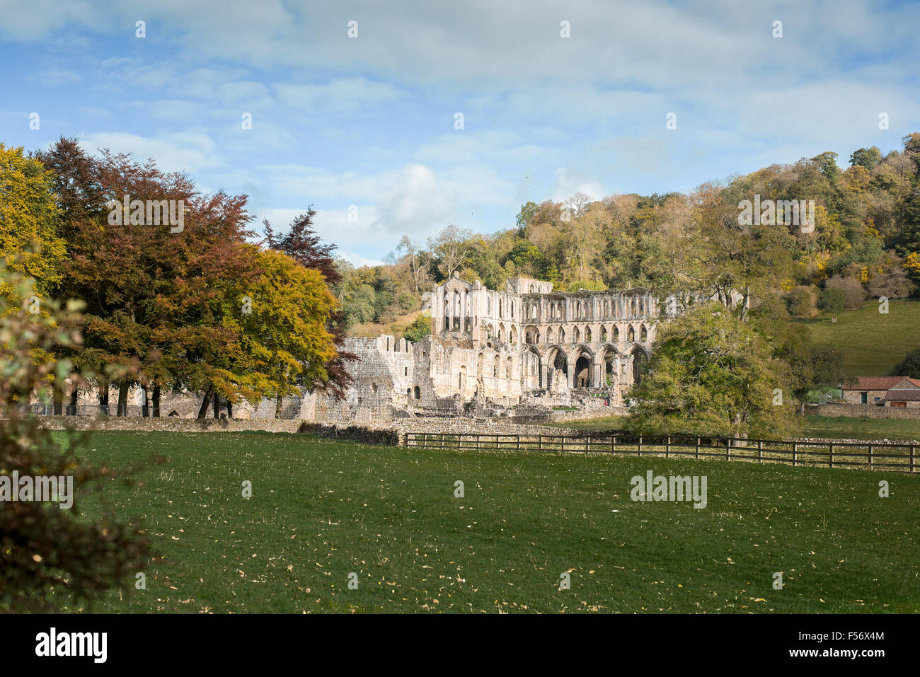 Ruines d'un monastère cistercien à Rievaulx, Yorkshire, Angleterre, construit au xiie siècle par les moines de Clairvaux. Banque D'Images