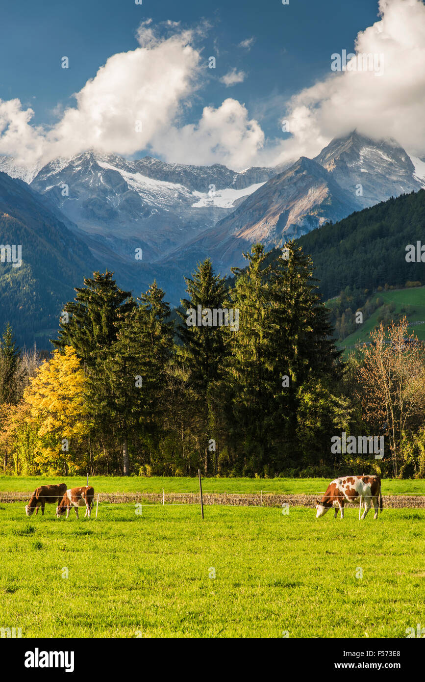 Paysage d'automne panoramique dans l'Alto Adige - Tyrol du Sud, Italie Banque D'Images
