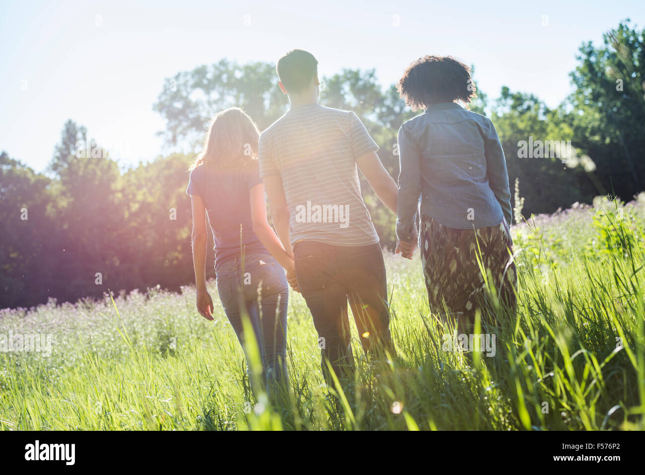 Trois personnes marchant main dans la main à travers l'herbe haute, en été. Vue arrière. Banque D'Images