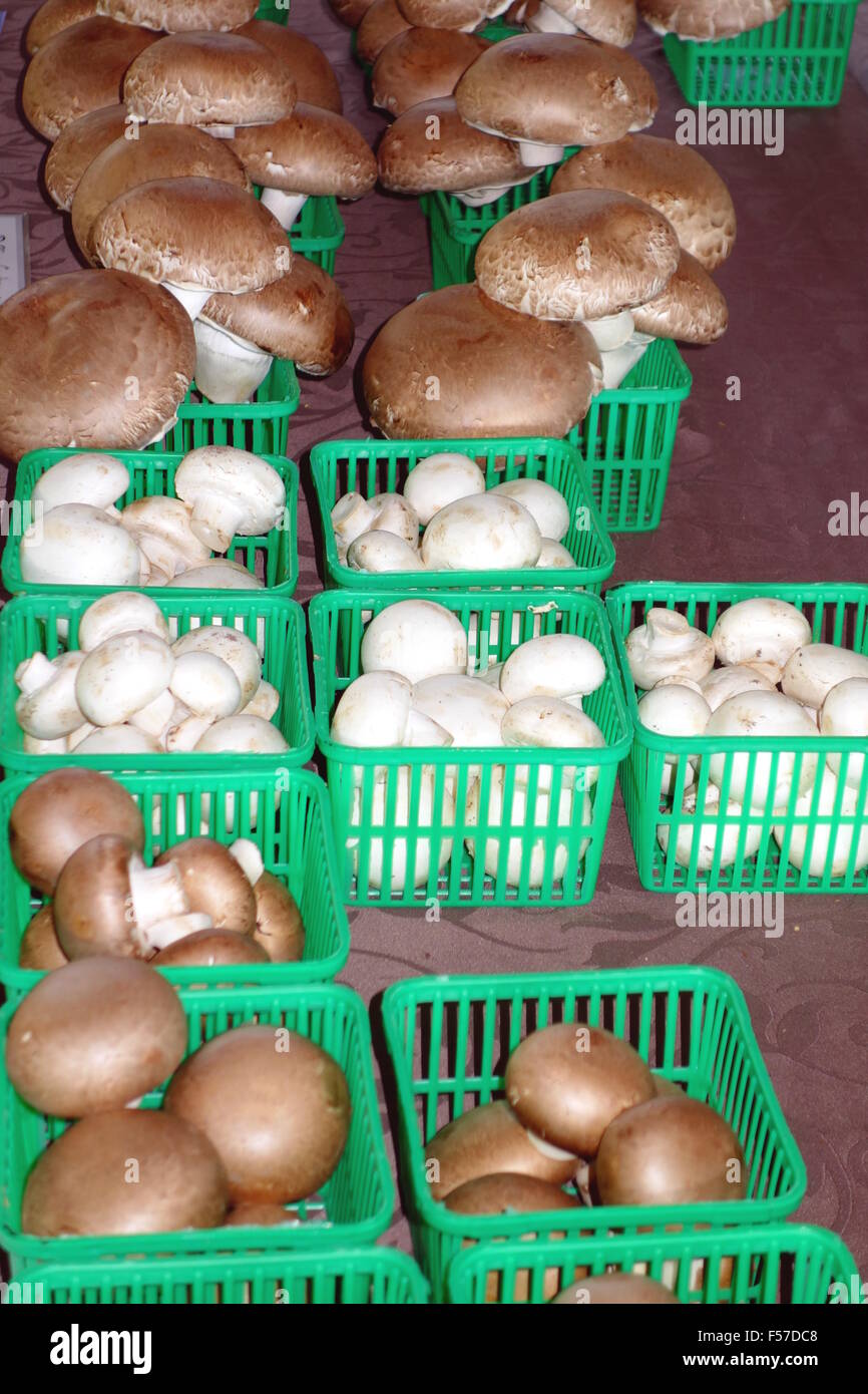 Des paniers de champignons en vente sur un marché local à Toronto, Canada Banque D'Images