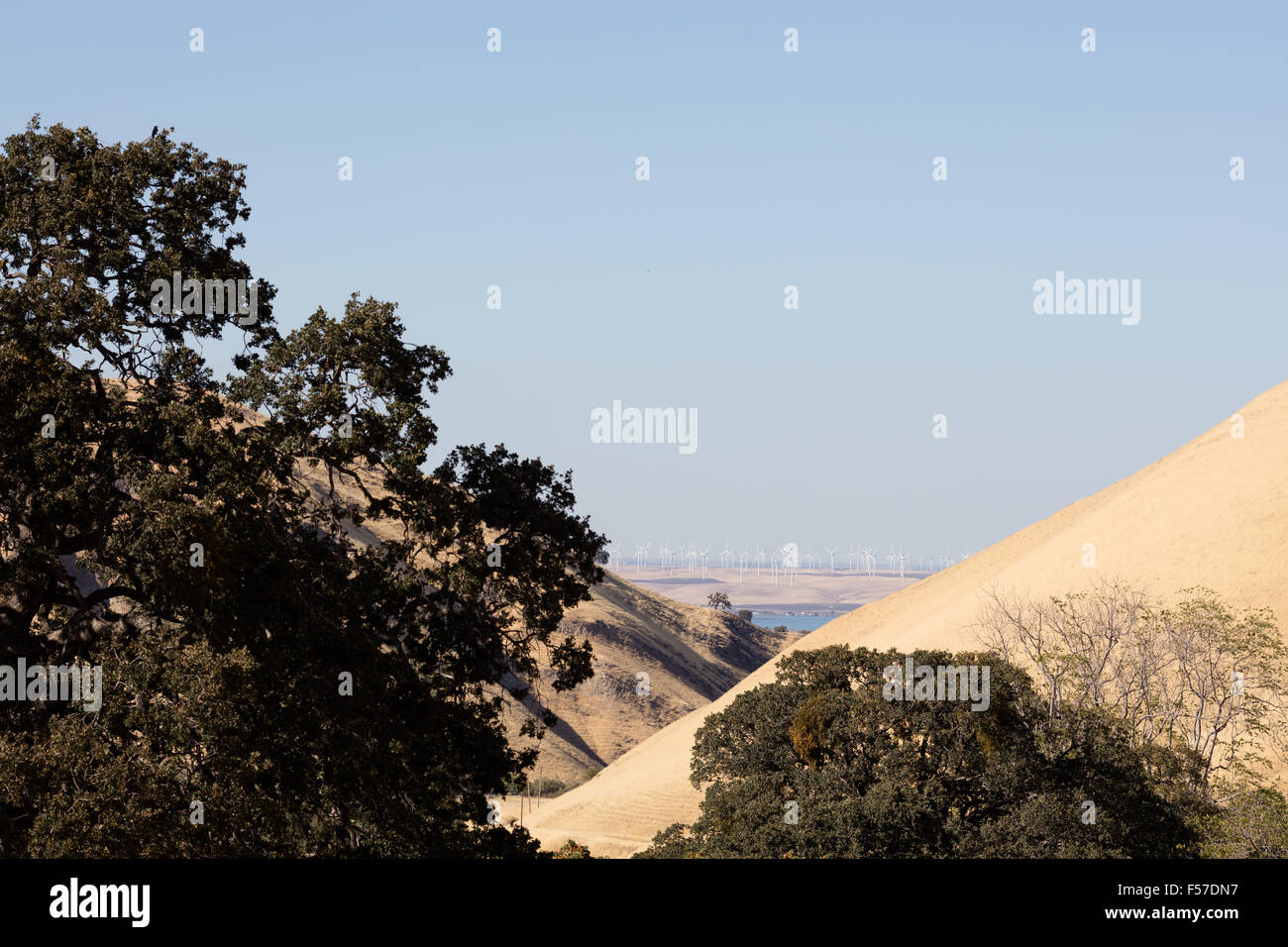 Black Diamond Mines Regional Preserve. Banque D'Images