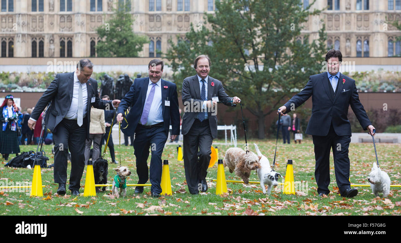 Londres, Royaume-Uni. 29 octobre, 2015. L-R : David Warburton MP avec les chiens un chien de sauvetage confiance appelé Burlington, un terrier de 1 ans, Chris Matheson MP avec les chiens un chien de sauvetage confiance appelé Casper, un Yorkshire Terrier, Hugo Swire MP avec Rocco et Alec Shelbrooke Cockapoo MP avec ses chiens, Boris et Maggie. Les membres du Parlement et leurs chiens pawed pour une victoire dans le rapport annuel de l'année chien Westminster concours organisé par des chiens de confiance et le Kennel Club. Crédit : Images éclatantes/Alamy Live News Banque D'Images