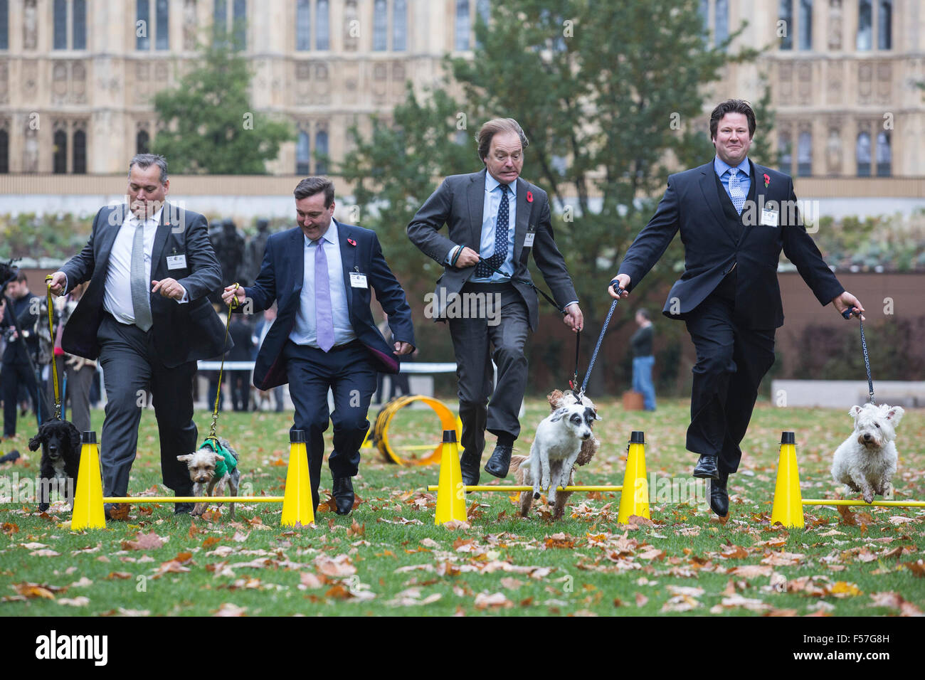 Londres, Royaume-Uni. 29 octobre, 2015. L-R : David Warburton MP avec les chiens un chien de sauvetage confiance appelé Burlington, un terrier de 1 ans, Chris Matheson MP avec les chiens un chien de sauvetage confiance appelé Casper, un Yorkshire Terrier, Hugo Swire MP avec Rocco et Alec Shelbrooke Cockapoo MP avec ses chiens, Boris et Maggie. Les membres du Parlement et leurs chiens pawed pour une victoire dans le rapport annuel de l'année chien Westminster concours organisé par des chiens de confiance et le Kennel Club. Crédit : Images éclatantes/Alamy Live News Banque D'Images