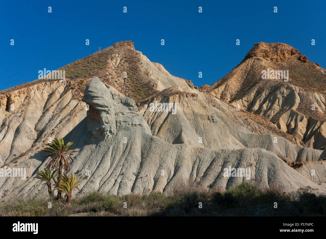 Désert de Tabernas Spot naturel, la province d'Almeria, Andalousie, Espagne, Europe Banque D'Images